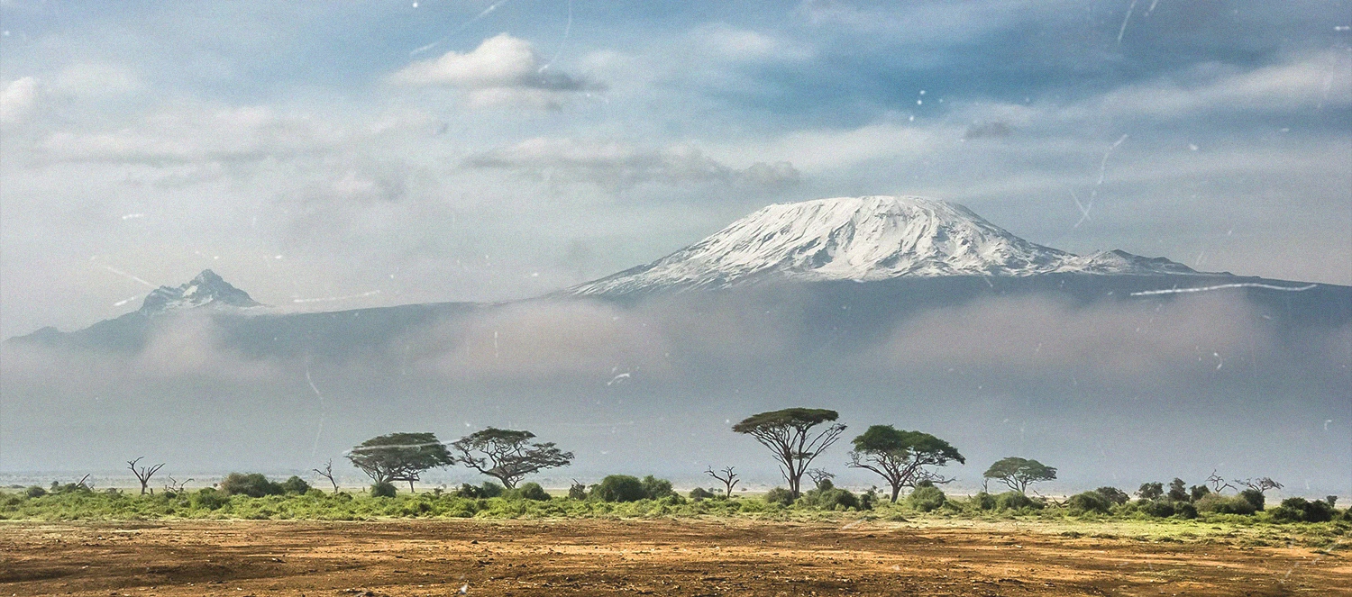 Сафари в парках Тарангире — Нгоронгоро – Килиманджаро