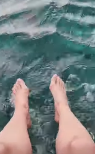 Snorkeling with dolphins