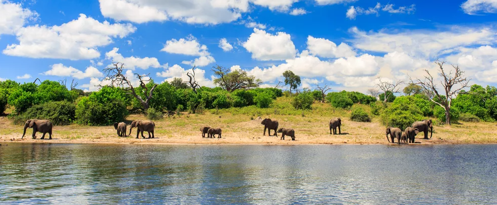 Национальный парк Чобе в Ботсване