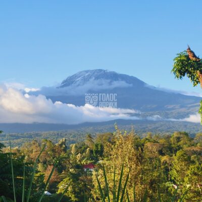 Тарангире Килиманджаро 8-9.11.23