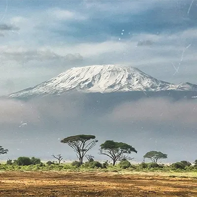 Сафари в парках Тарангире - Нгоронгоро – Килиманджаро